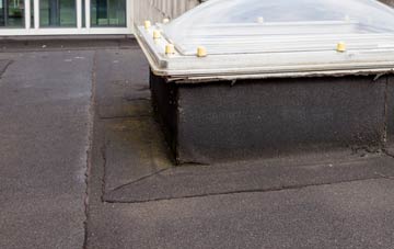 disadvantages of Llanion flat roofs