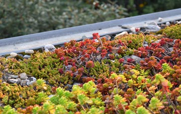 the cost of Llanion green roof installation