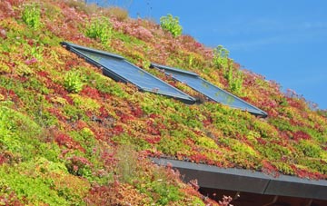 Llanion living roof systems