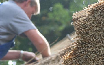 professional Llanion thatchers