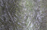 Llanion fibreglass roof work