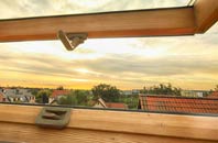 rated Llanion roof window companies